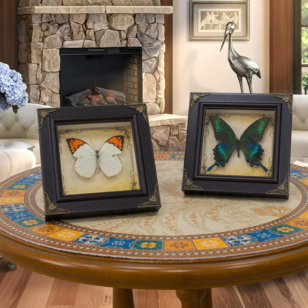 Handmade Real Butterfly Framed with 5 Pieces Gift Set - Gothic Home Decor and Vintage Frame - Butterflies Taxidermy Shadow Box Collection (Red Helen Butterfly)