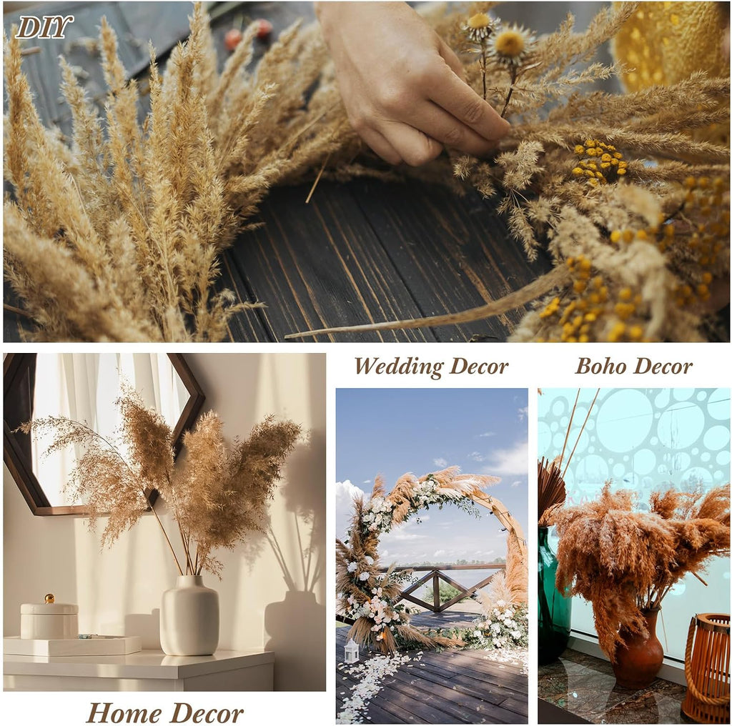 Janinka 150 Pcs Dried Fluffy Pampas Grass Bulk 17 Inch, Boho Decor, Brown