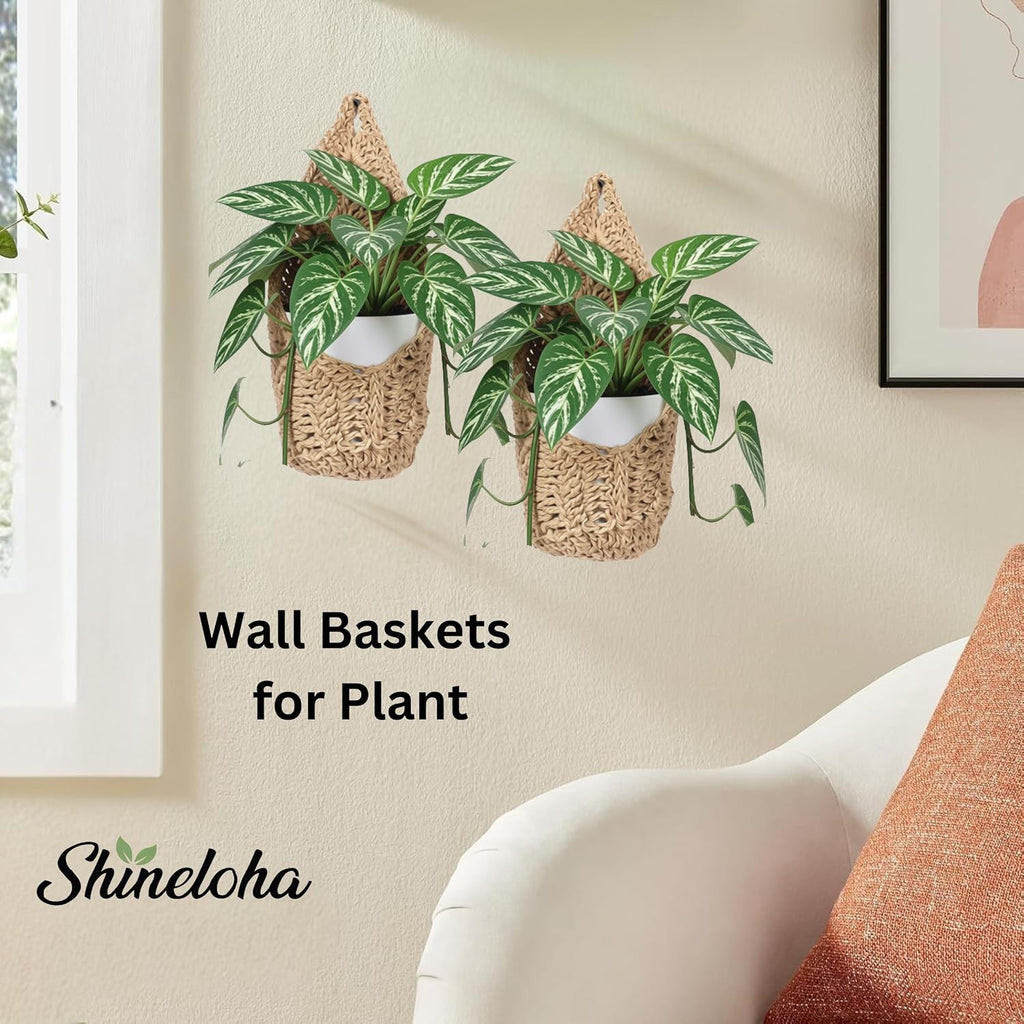 2 Pack Macrame Wall Plant Hanger for 6 inch, Wall Plant Basket