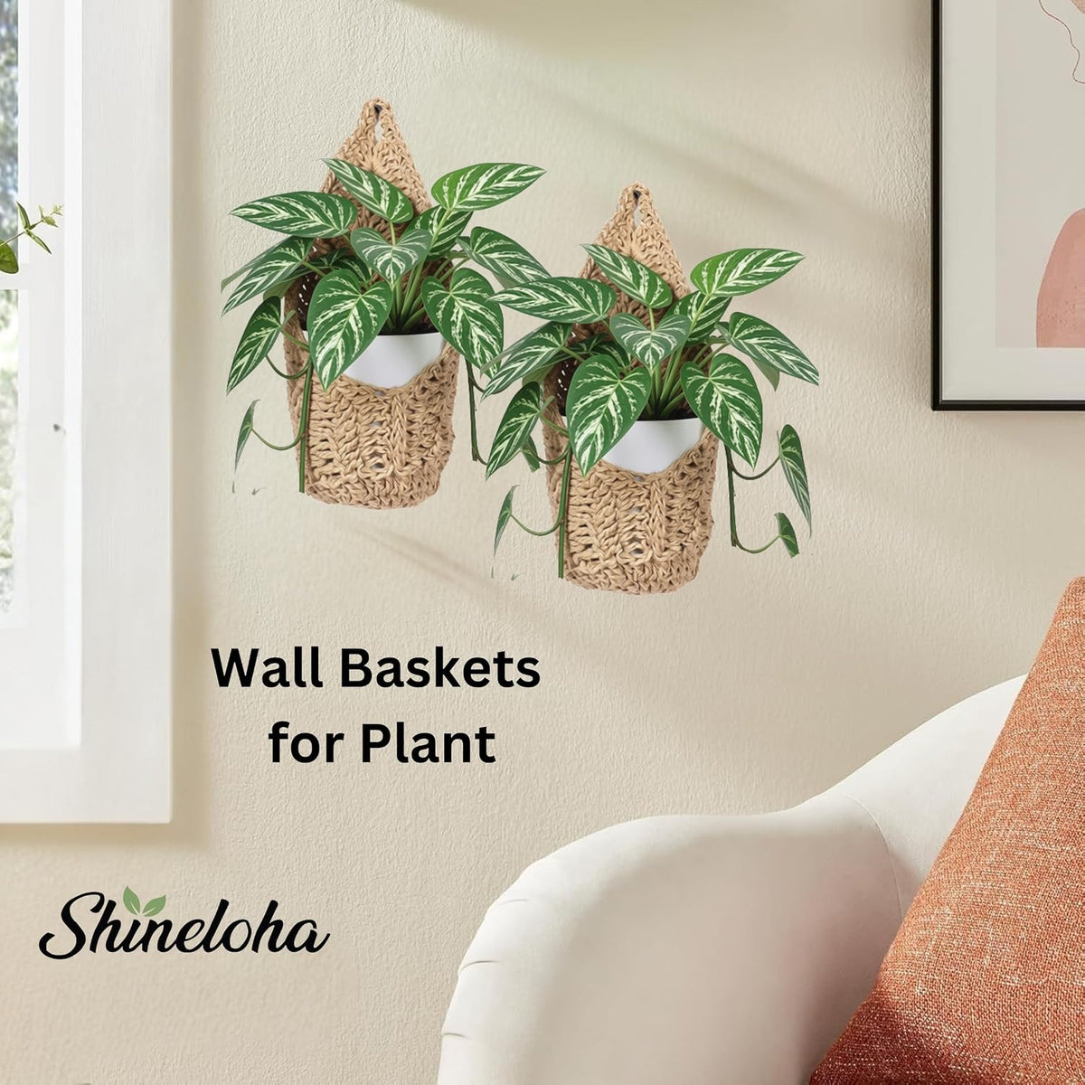 2 Pack Macrame Wall Plant Hanger for 6 inch, Wall Plant Basket