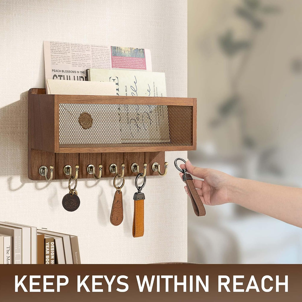 Rebee Vision Key Holder Wall Mount with Mesh Basket for Home, Golden Hook