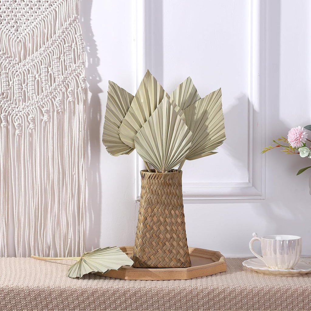 6 Pcs Small Boho Dried Palm Fans Dried Palm Spears Leaveswith Stem