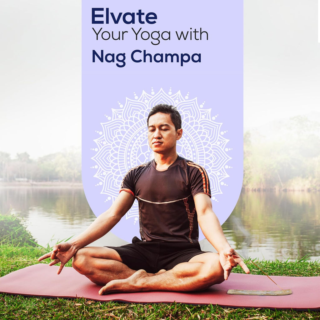 Satya Nag Champa Incense Sticks 100 gmx 2 Pack (200 GMS), Satya Insenses with Raajsee Incence Holder Bundle, Nag Champa Natural Insence
