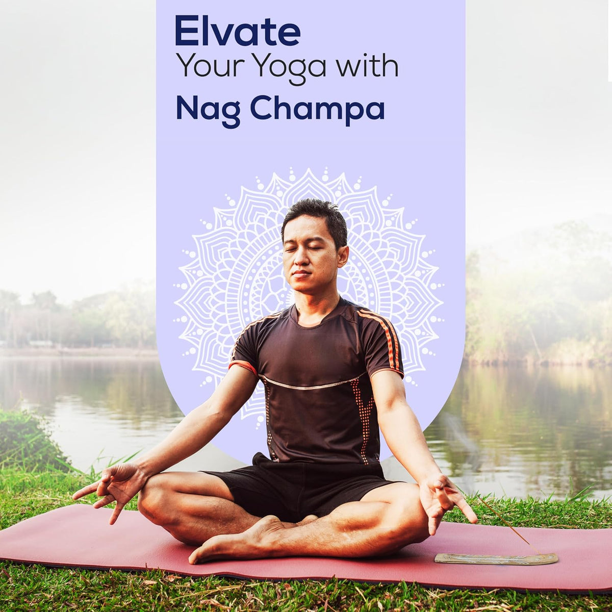 Satya Nag Champa Incense Sticks 100 gmx 2 Pack (200 GMS), Satya Insenses with Raajsee Incence Holder Bundle, Nag Champa Natural Insence