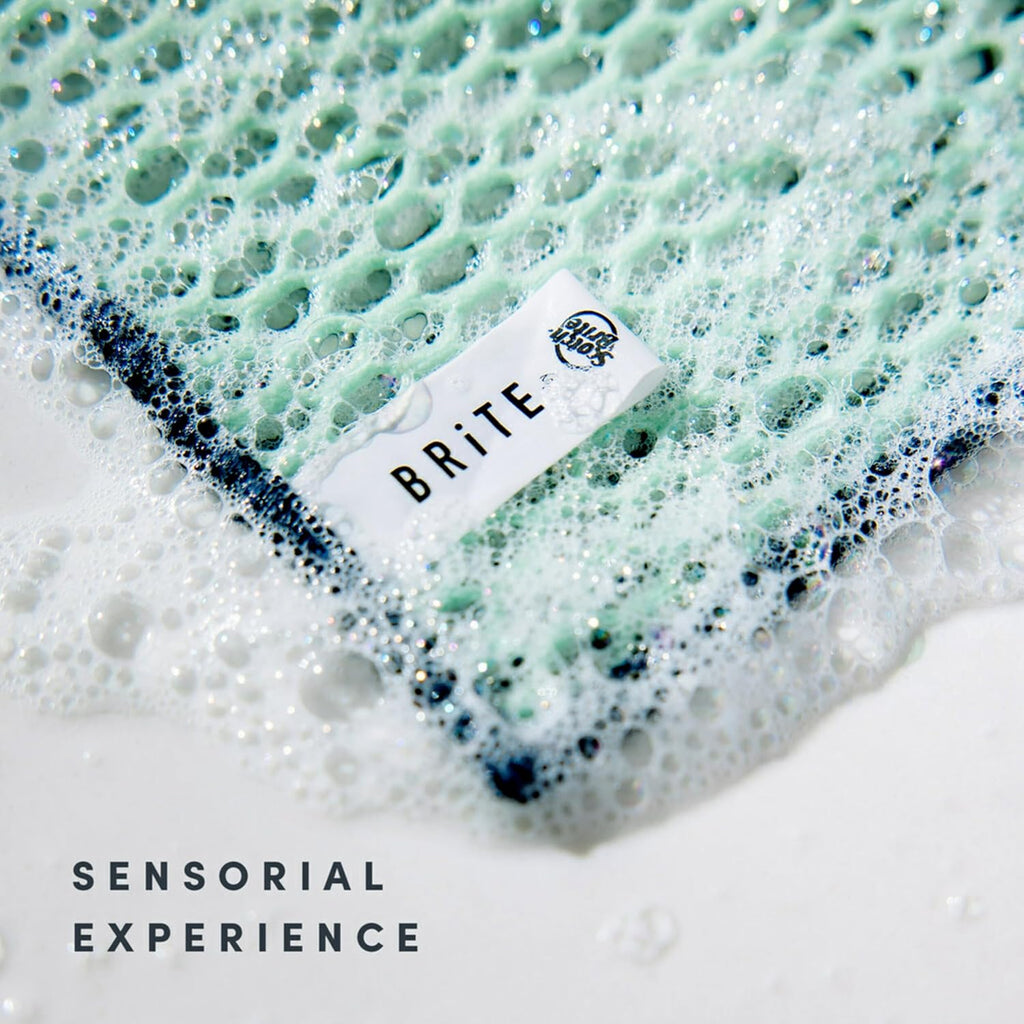 Brite by Scotch-Brite Limited Edition 4-Piece Scrub and Wipe Collection with 1 Rich-Foaming Dish Scrubber, 1 Quick-Dry Mesh Scrubber, and 2 Reusable Sponge Cloths (Pack of 4)