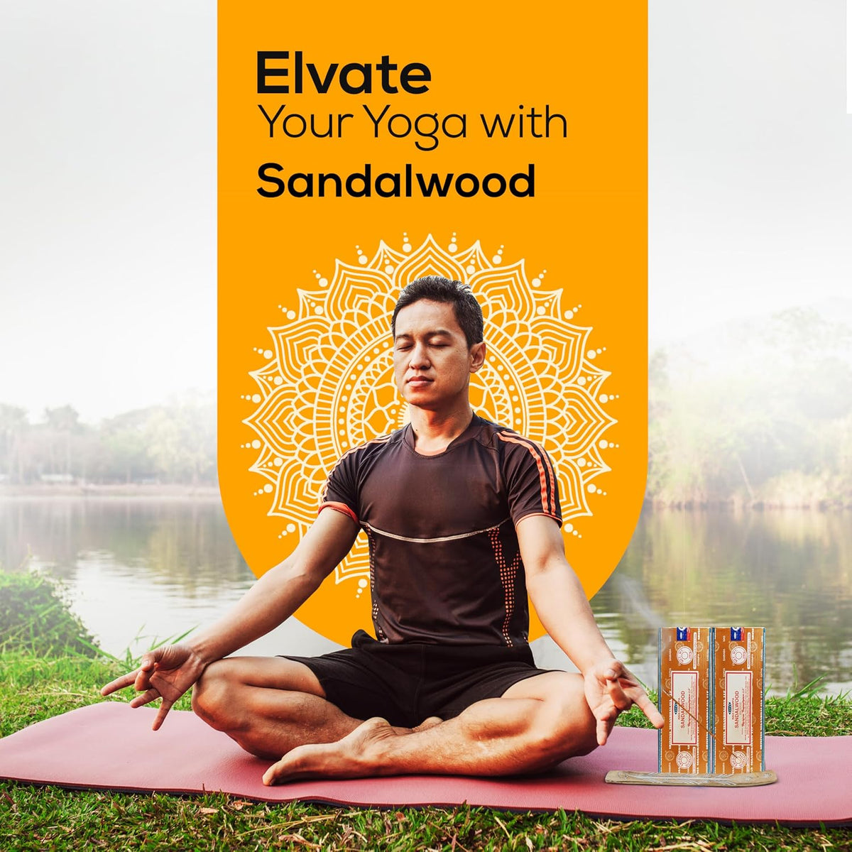 Satya Sandalwood Incense Sticks 250 gmx 2 Pack (500 GMS), Insenses with Raajsee Insence Holder Bundle, Nag Champa Natural Incense