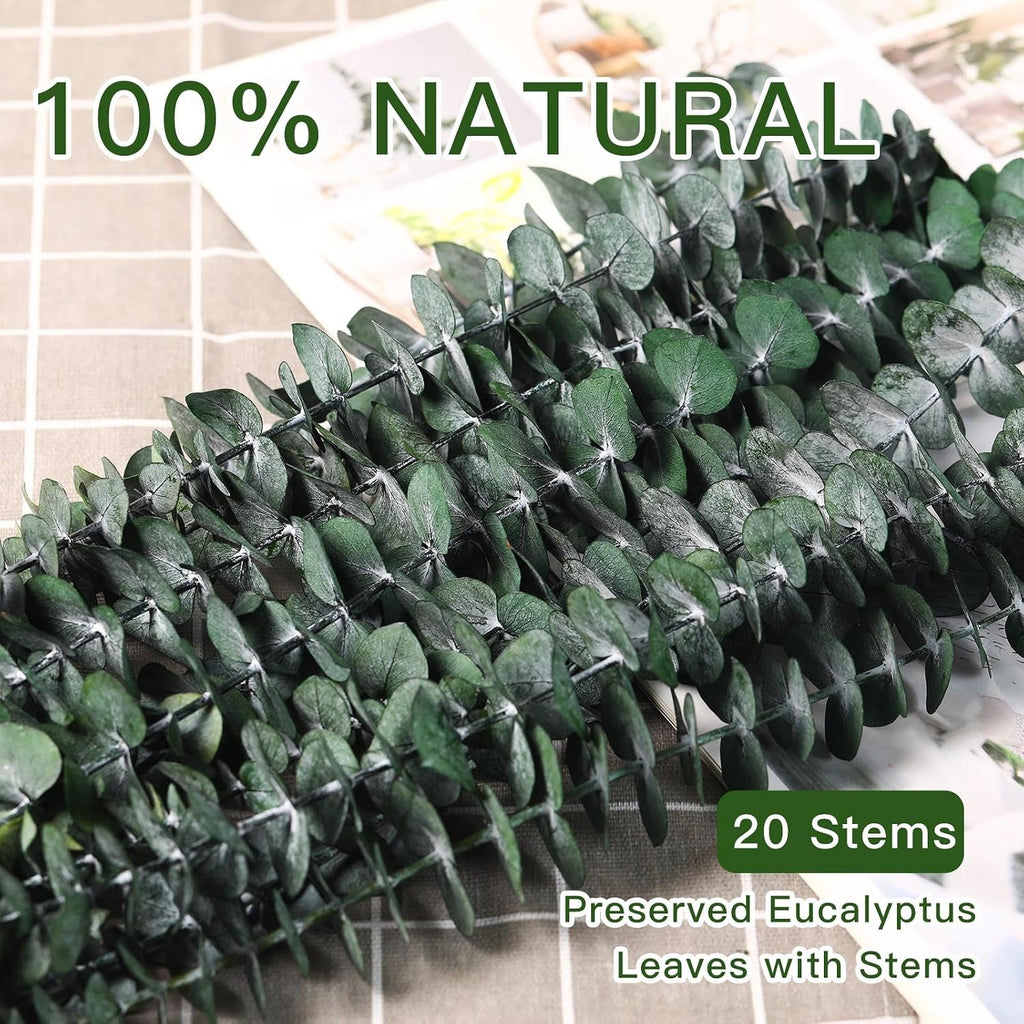 20 Pcs Dried Eucalyptus Stems, 17'' Real Greenery Leaves for Shower Hanging