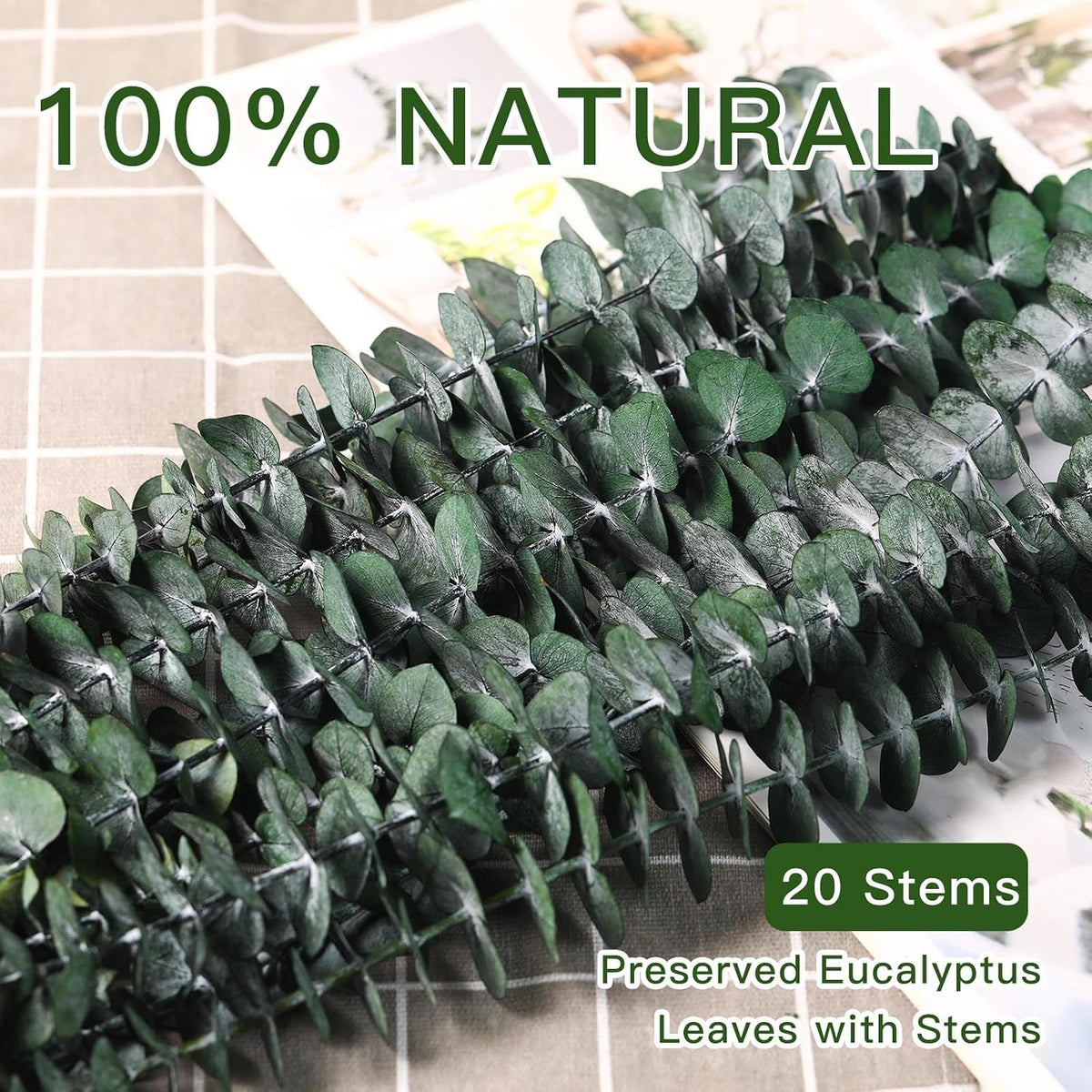 20 Pcs Dried Eucalyptus Stems, 17'' Real Greenery Leaves for Shower Hanging