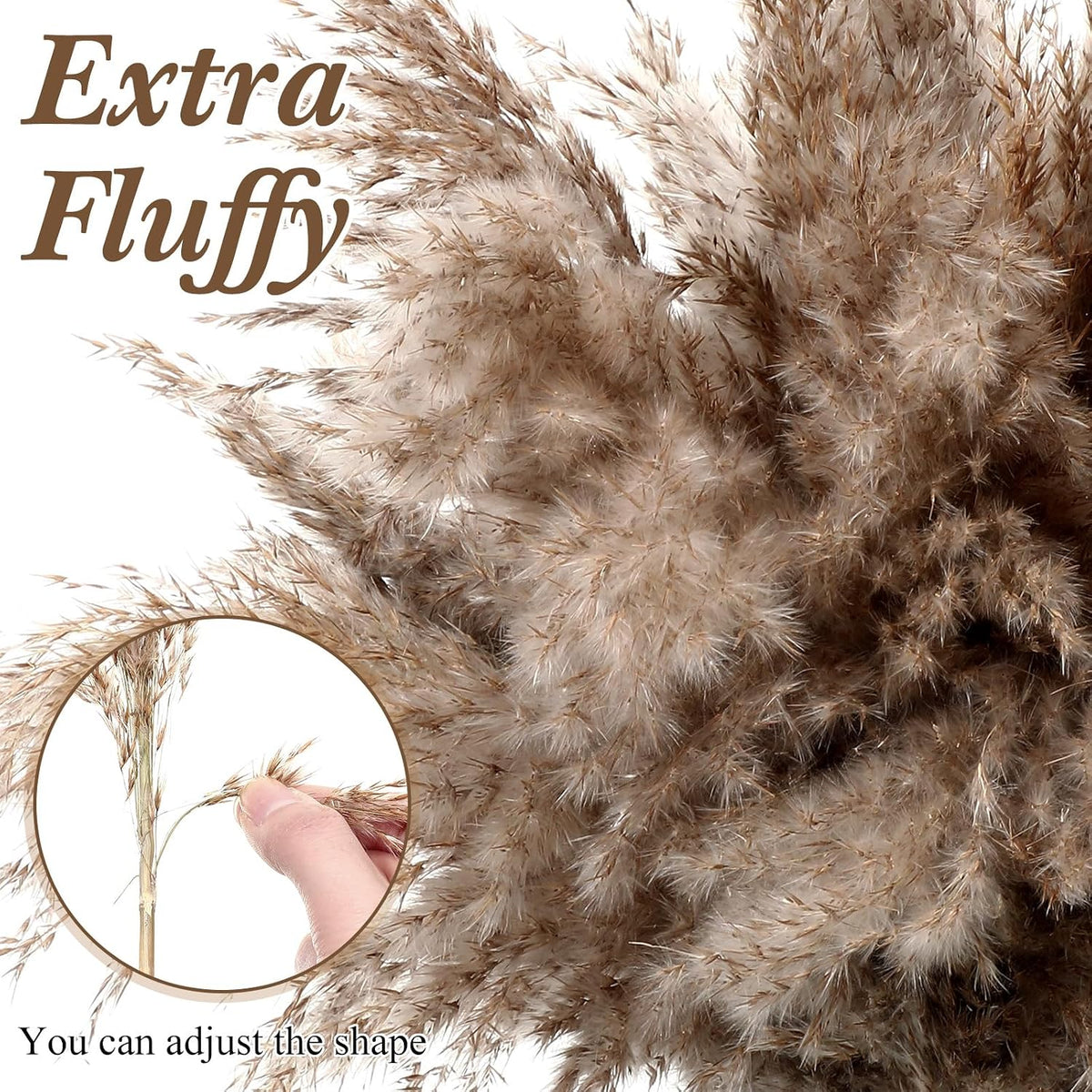 Janinka 150 Pcs Dried Fluffy Pampas Grass Bulk 17 Inch, Boho Decor, Brown