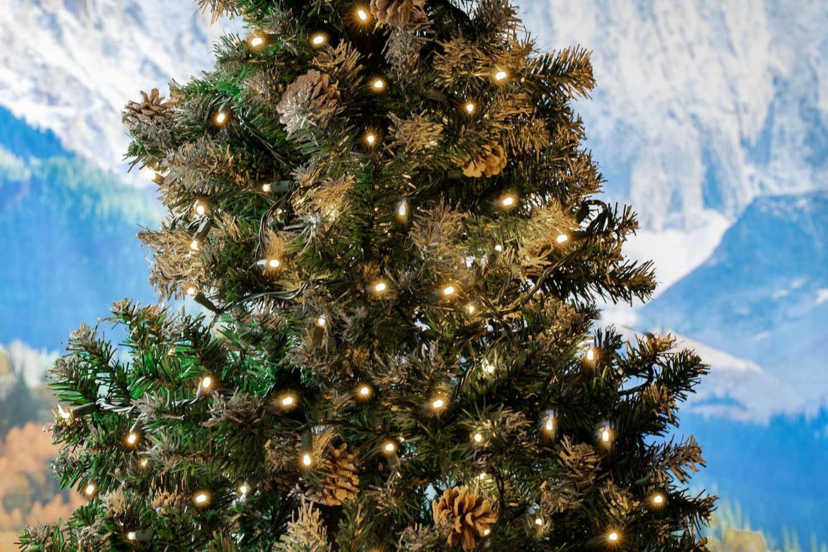 Novelty Lights 25ft 50 LED Warm White Christmas Lights Outdoor, Green Wire