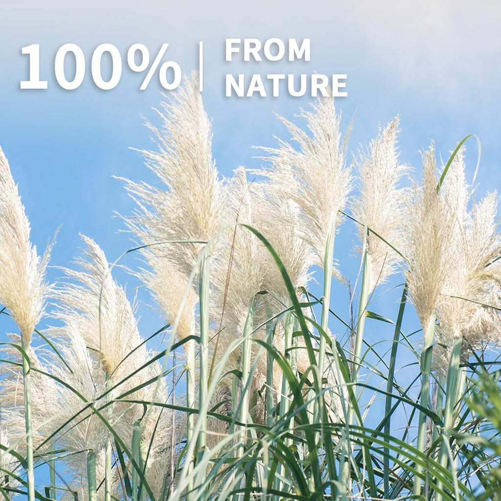 Le courant 17" 200Pcs Dried Pampas Grass Decor, Naturally Small Boho Pampas Grass with Bunny Tails & Reed Grass for Home Table Decor, Wedding, Rustic Farmhouse Party Decorations, White and Brown