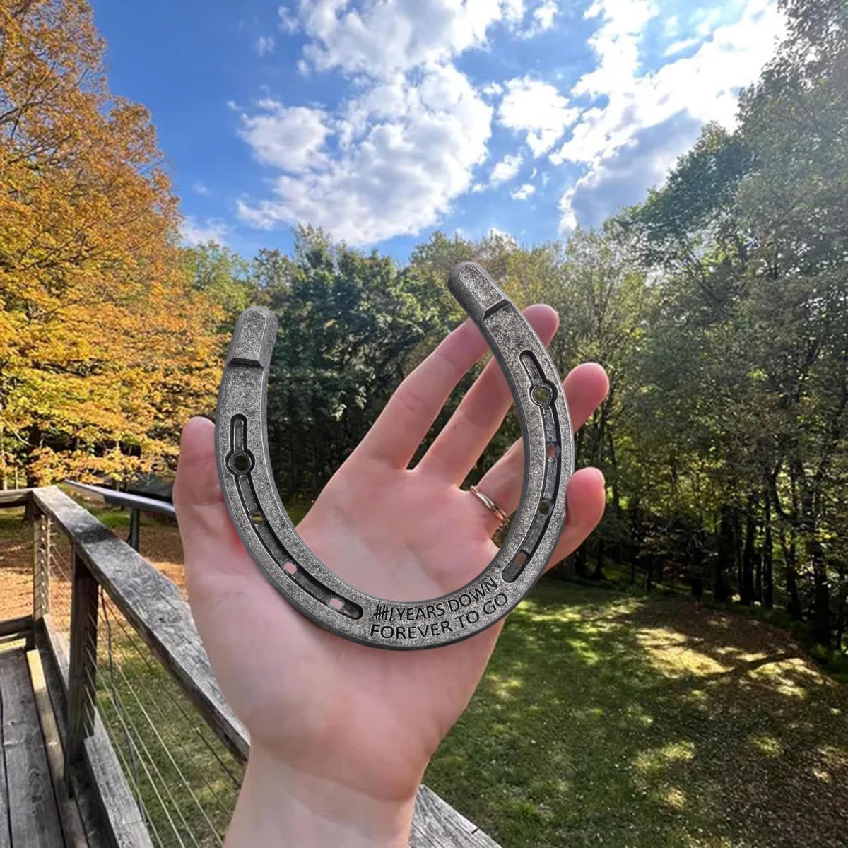 Horseshoe 6th Anniversary Iron Gifts for Him Her 6 Year Wedding Anniversary