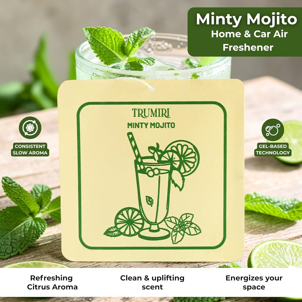 Mint Scented Drawer & Closet Air Freshener Sachet–Pack of 3–Long-Lasting Hanging Sachet Bag, Scent Diffuser, Odor Eliminator, Wardrobes, Dressers & Linen Closets–Home Fragrance Gift for Housewarming