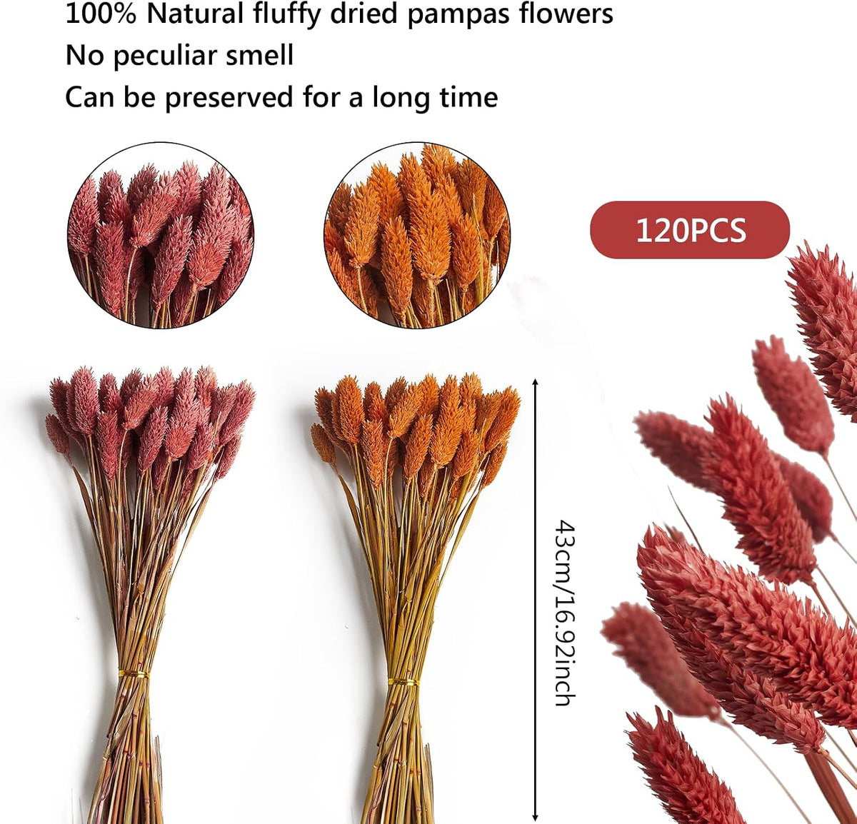 120pcs Fall Burnt Orange Bunny Tails Dried Flowers,17" Dried Natural Bunny Tails Fluffy Orange Pampas Grass Decor Lagurus Ovatus Boho Flower Arrangements for Fall Home Decor Wedding
