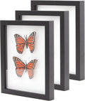 Super-Sturdy, Real Wood 8x10 Shadow Box Frame 3pk. Genuine Hardwood Displays with Real Glass. Best Shadowbox to Showcase Photos, Tickets, Wedding Bouquets, CDs, Medals, Awards, Seashells and Insects.