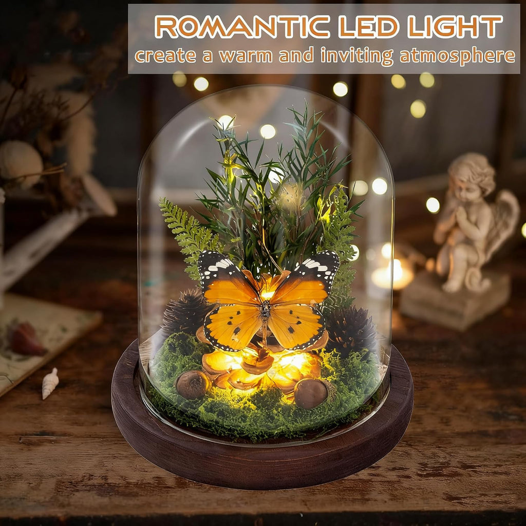 Glass Taxidermy Butterfly Shadow Box, Butterfly Gifts for Women Girls with Glass Cover, Light Up Butterfly Decor for Bedroom Office Living Room Desk (Not Include Battery)