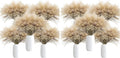 Uieke 500Pcs Natural Dried Pampas Grass Plume 17inch Tall Dried Flowers Bulk Reed Dried Plants for Wedding Flower Arrangements Farmhouse Wreath Door Centerpiece Home Décor Brown (Pack of 2)