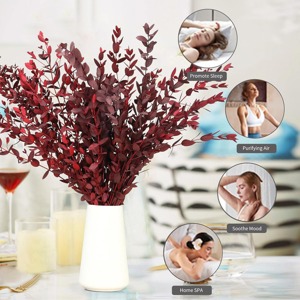 Dried Eucalyptus Leaves Stems, Preserved Real Eucalyptus Plant, Dried Willow Branches Bundle for Wedding Wreath Home Fragrance Vase Filler Bathroom Decor, Fall Arrangement Decorations (Red, 3oz)