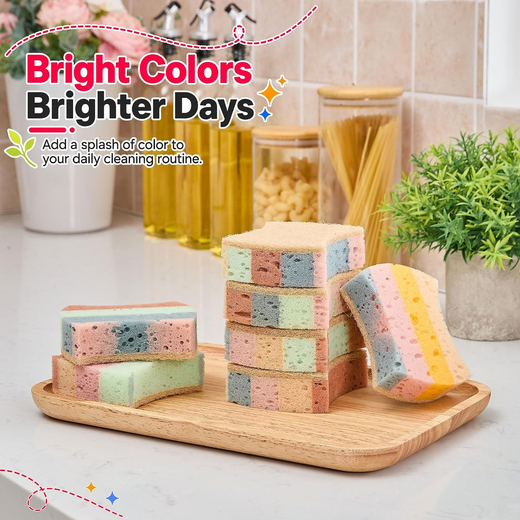 Color Kitchen Sponges Heavy Duty Kitchen Cleaning Scrubbing 10 Pack