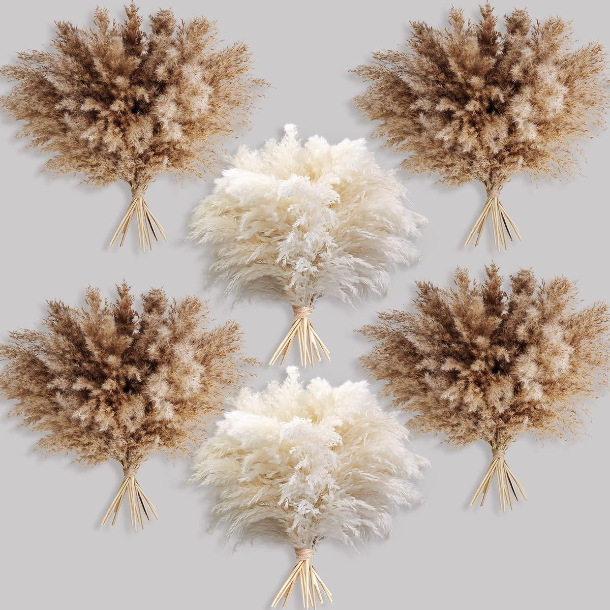 60 PCS Boho Decor, Fluffy Pompas Grass, Natural Dry Pampas Grass Small, Short Pampass Bulk for Boho Room Decor, Coffee Table Decor (17 inch )