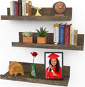 Icona Bay 16 Inch Floating Shelves for Wall - Set of 3 in Walnut Brown - Modern Rustic Style - Wall Mounted Display Shelves - Picture Ledges