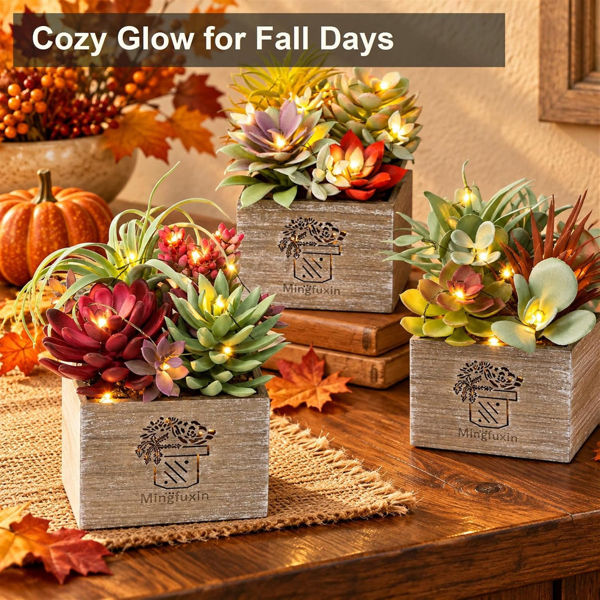 Succulents Plants Artificial with Light for Home Office Decor 3 Pack