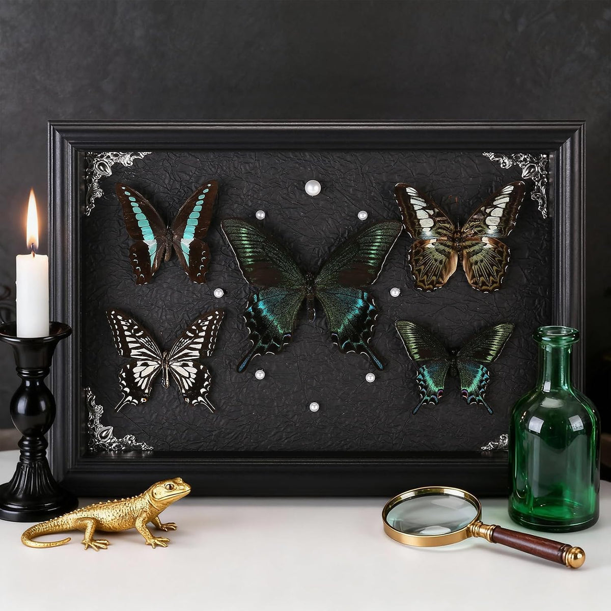 Real Framed Butterfly Taxidermy Collection - Set of 5 in Shadow Box Display