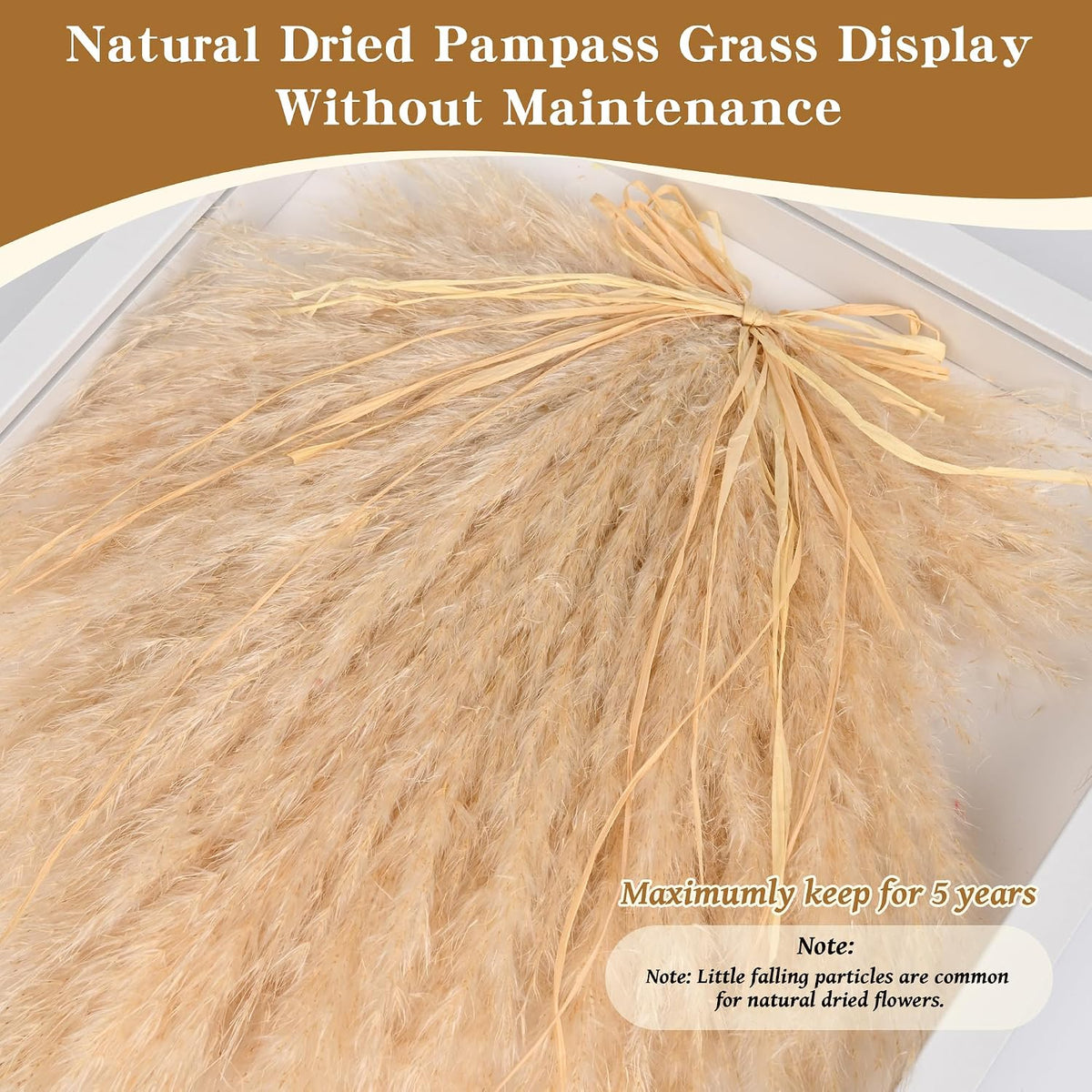 YZXZM Dried Pampas Grass Decorations for Boho Wall Art Decor in 16" Frame (Beige)