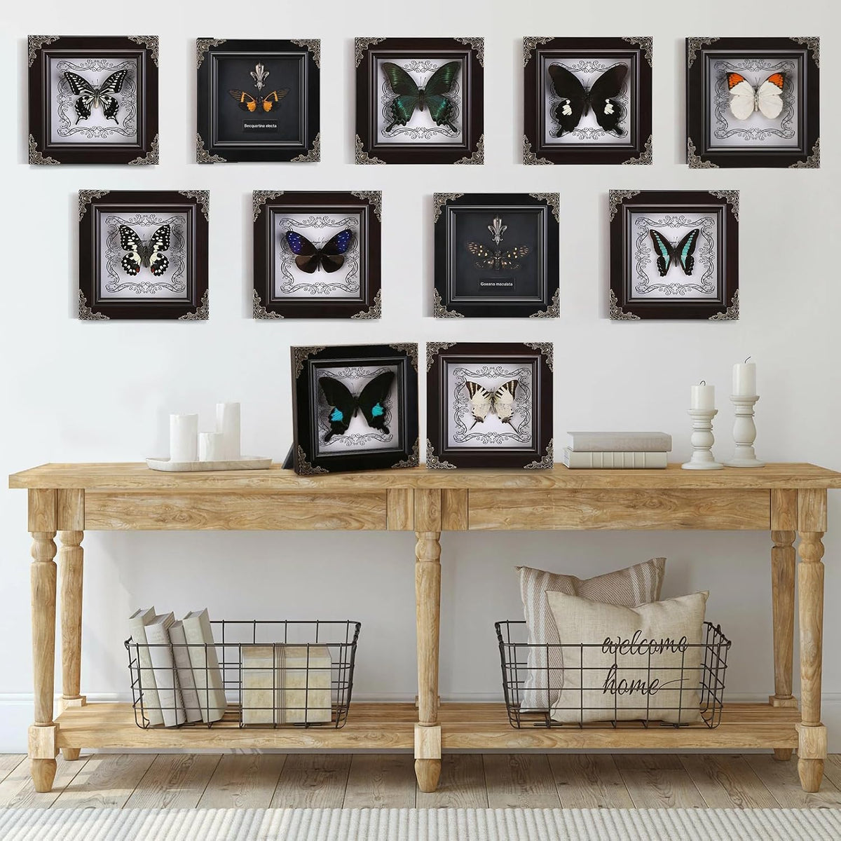 Real Framed Butterfly Specimen, Handmade Butterfly Taxidermy Shadow Box, Goth Gifts for Women, Dark Academia & Witchy Decor, (Crane Crest White Butterfly)
