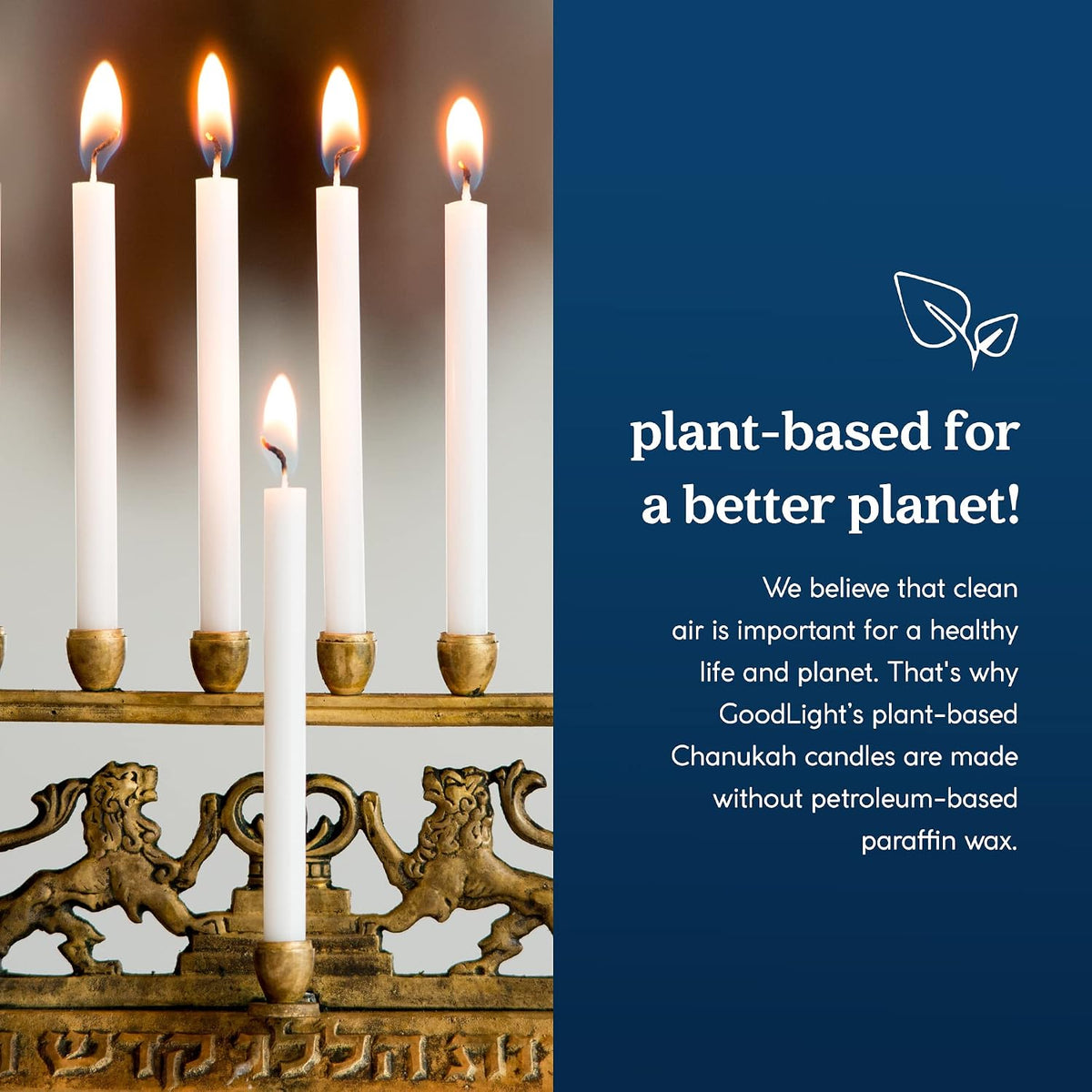 GoodLight Hanukkah Chanukah Menorah Candles Paraffin-Free White 45 Ct