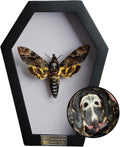 Real Death Head Moth White Skull 7" Coffin Gothic Witchy Gift CF18-01-TR-MT