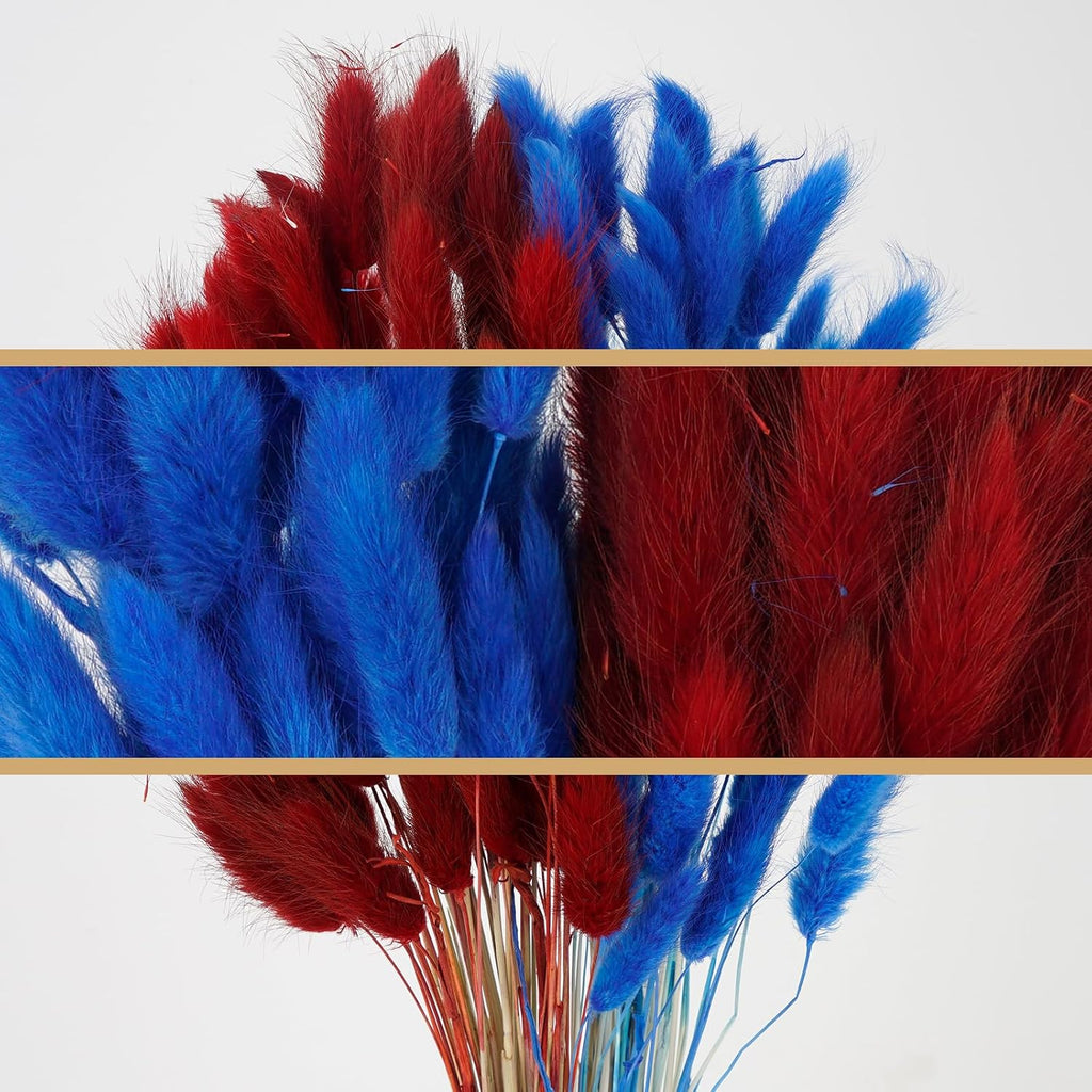 100 Pcs Dark Blue and Red Bunny Tails Dried Flowers