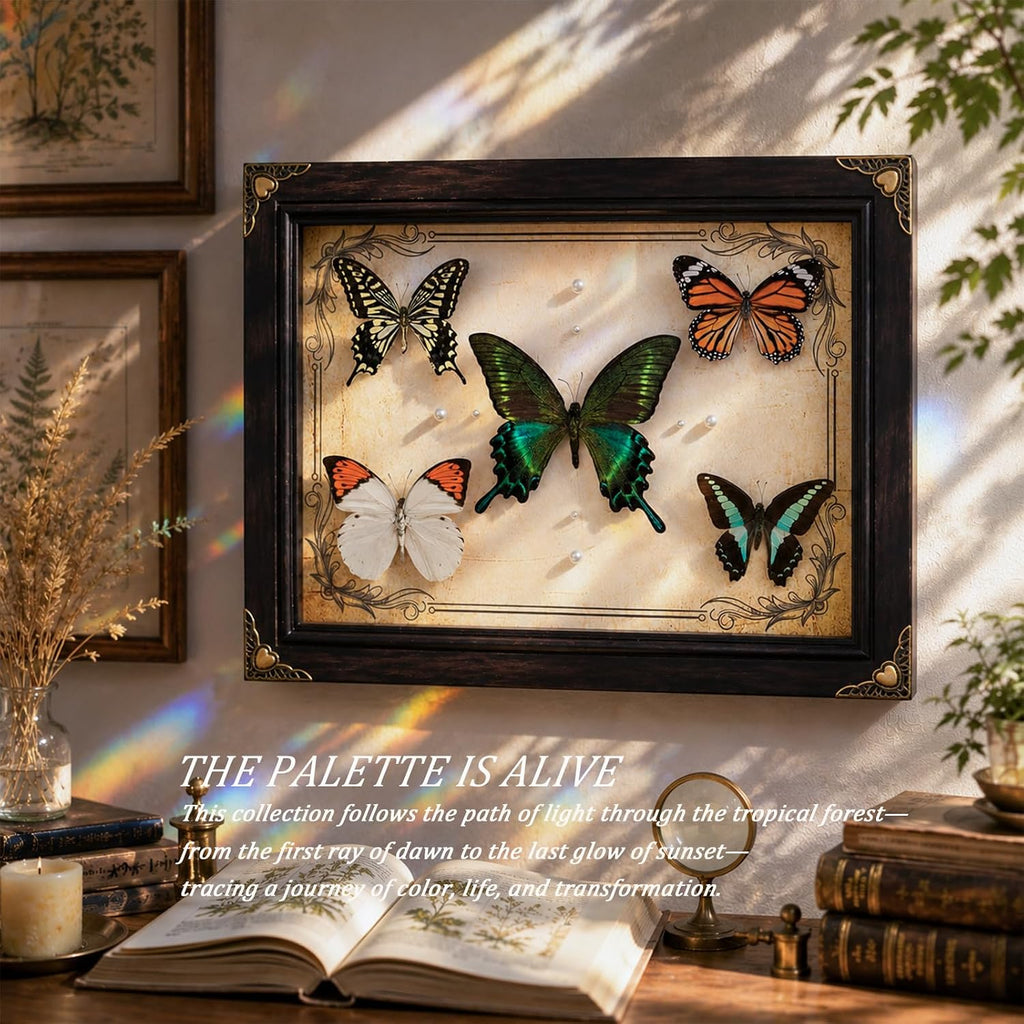 Nature's Palette 5 Real Butterfly Taxidermy Shadow Box Gift Set (10x13.4")