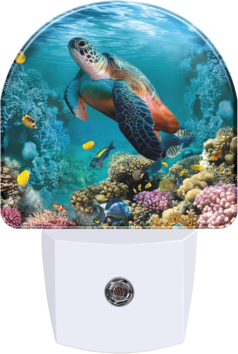Night Lights Plug into Wall, Sea Turtle Night Light with Dusk to Dawn Smart Sensor for Bedroom Bathroom Hallway Kitchen, Led Nightlights for Boys Girls Women Men