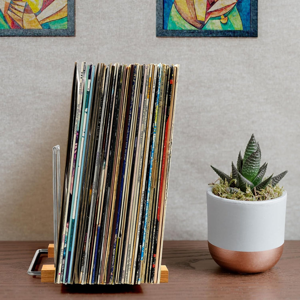 40 LP Vinyl Record Storage Solid Wood Vinyl Record Holder (Stainless Steel)