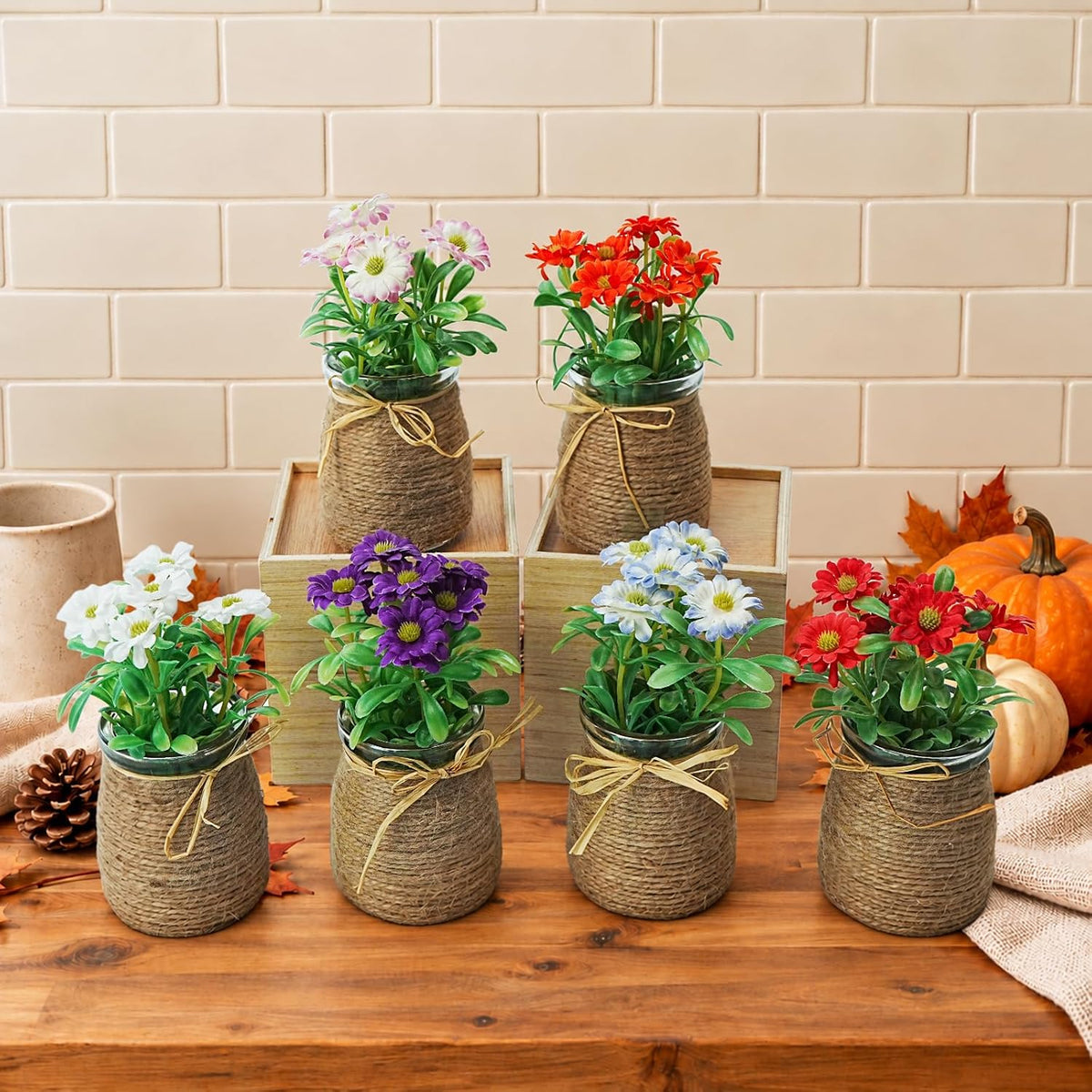 6pcs Artificial Daisy Fall Flowers in Small Glass Container