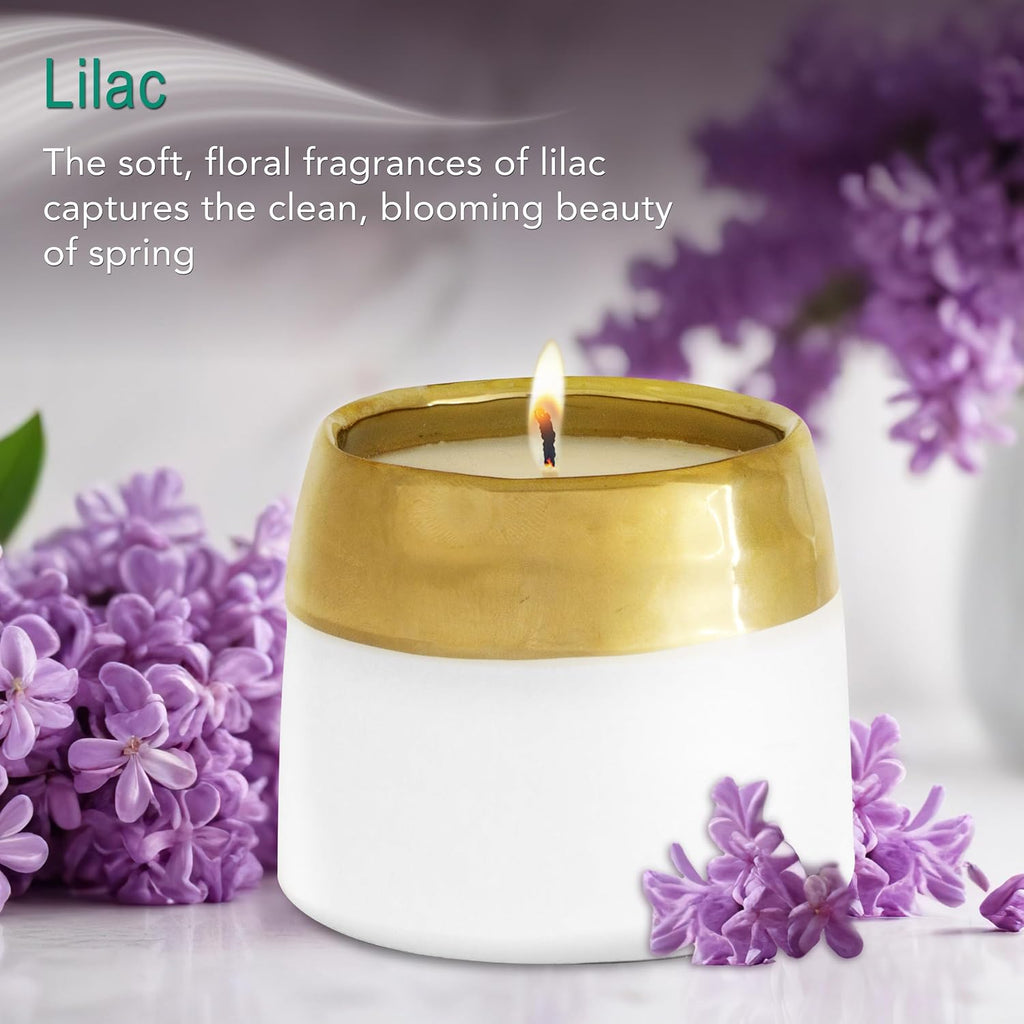 Hyggelight - The Growing Candle, Lavender Scented, 10oz Ceramic Pot, Single Wick Aromatherapy Candles, 100% Soy for Women and Men, Clara