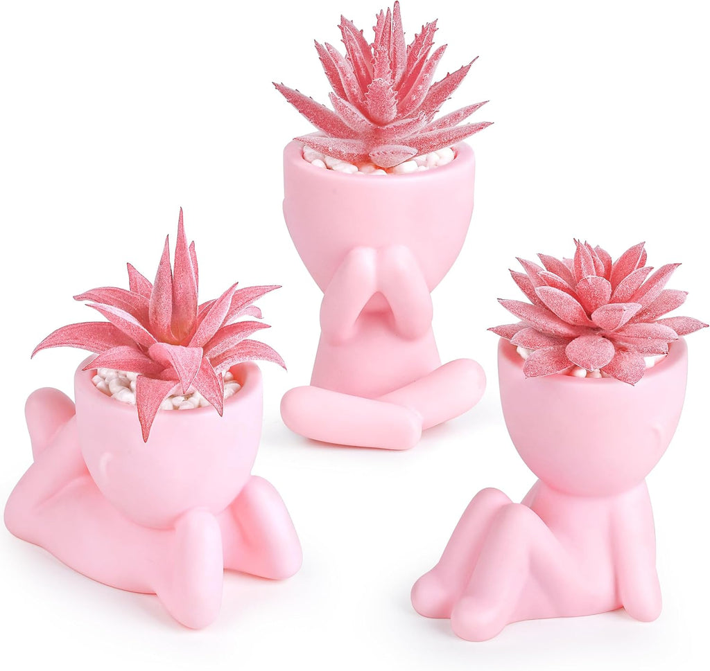 Der Rose 3 Pack Fake Succulents in Pink Human Pots for Desk Decor