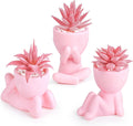 Der Rose 3 Pack Fake Succulents in Pink Human Pots for Desk Decor