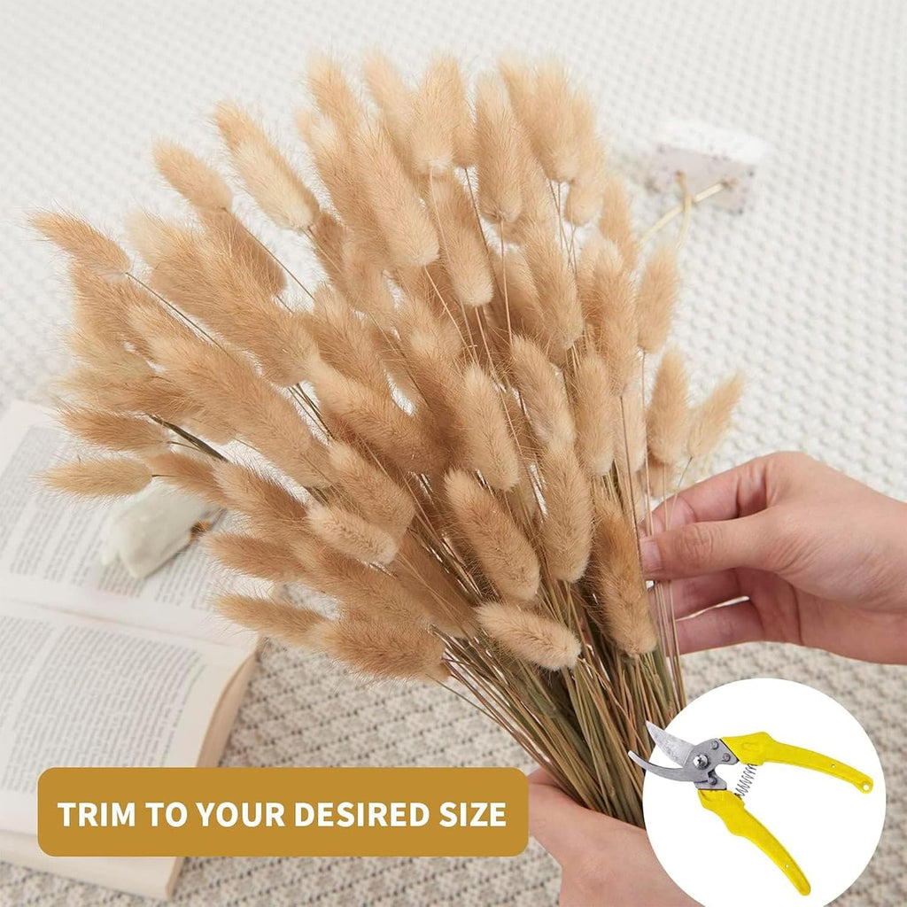 Brown Bunny Tails 120Pcs 17Inch Dried Grass for Boho Wedding Vase