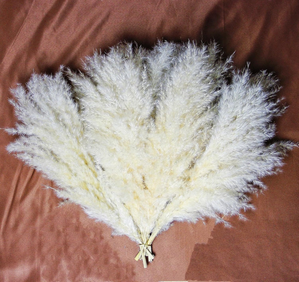 10 PCS Beige Pampas Grass Decor, Naturally Dried Pompas, Bunny Tails Dried Flowers, and Dried Eucalyptus. Perfect for Weddings, Boho Party Decorations, and Table Decor(17inch)