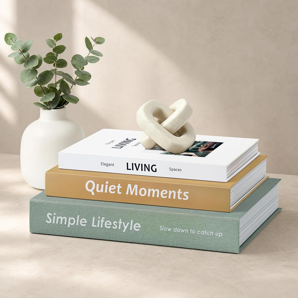 Decorative Books with Hidden Storage, Set of 3 Faux Book Boxes
