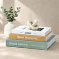Decorative Books with Hidden Storage, Set of 3 Faux Book Boxes