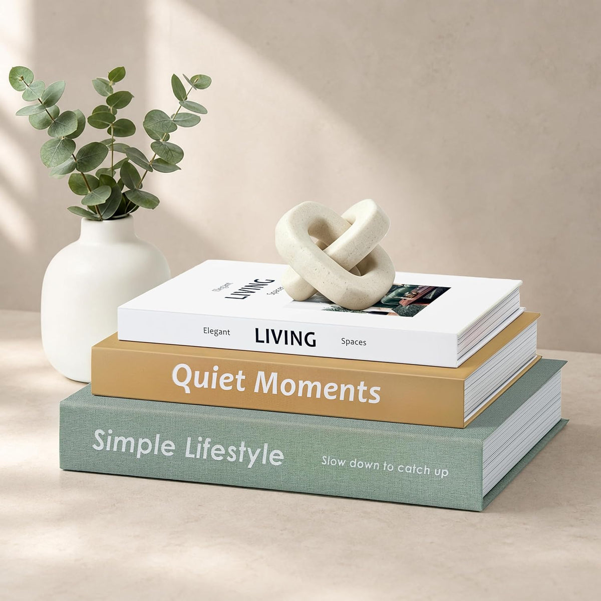 Decorative Books with Hidden Storage, Set of 3 Faux Book Boxes