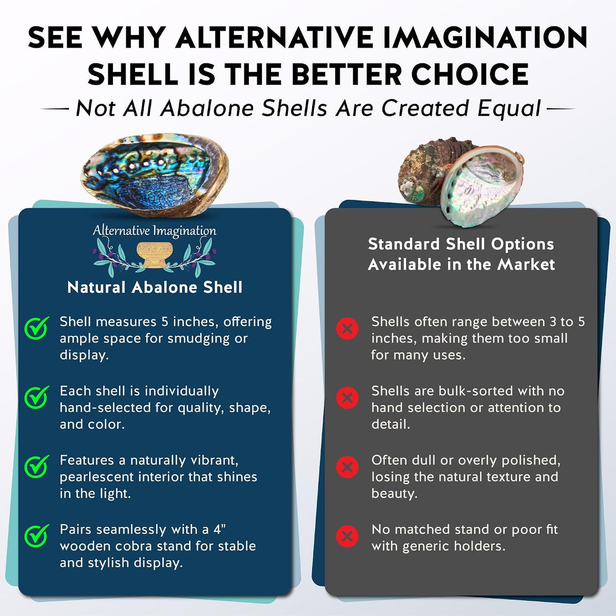 Hand Selected Abalone Shell, 5-Inch+ Polished Smudging & Display Bowl Kit