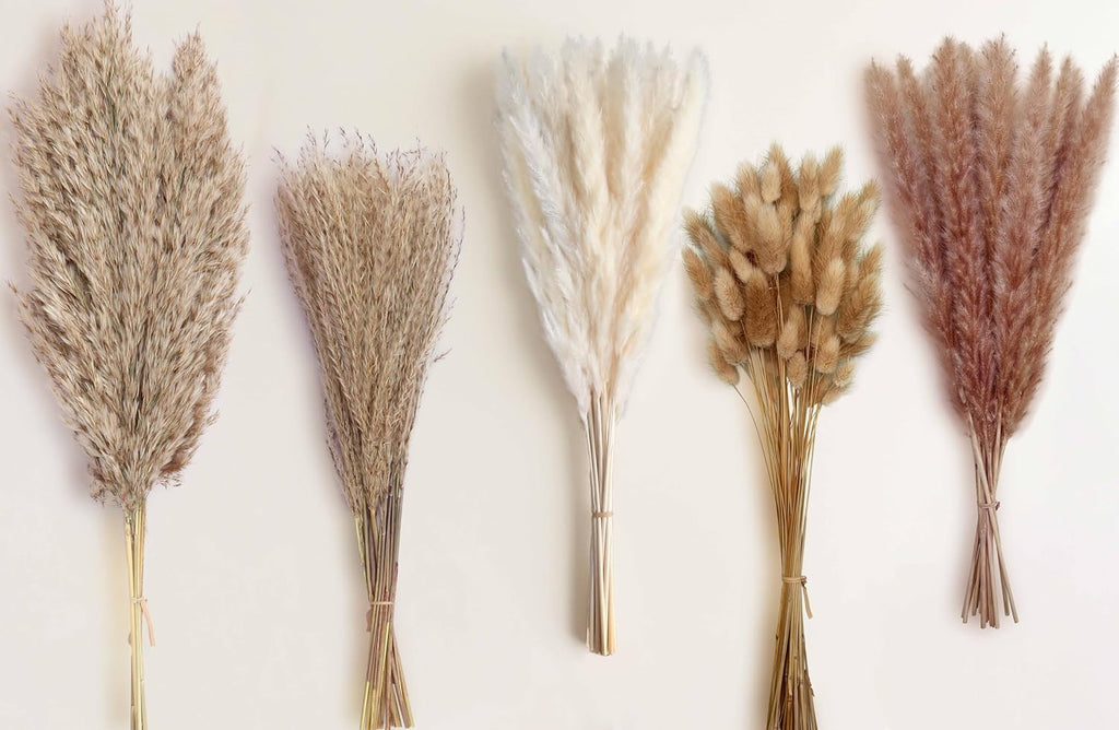 115 Stems Dried Pampas Grass, Natural Boho Table Decor Length 17"