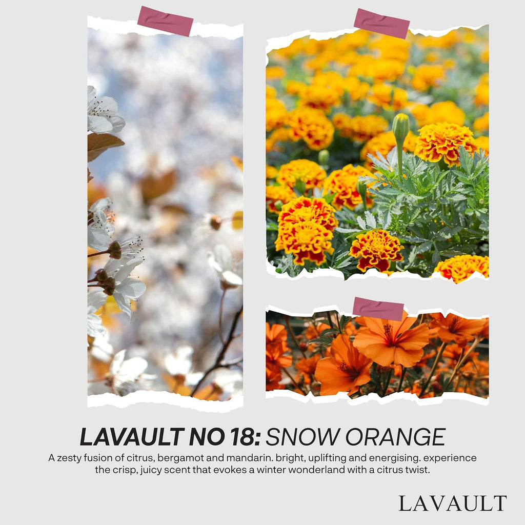 Lavault Reed Diffuser Set for Home, Office, Bedroom & Bathroom - Essential Oil Home Fragrance with Reed Sticks - Snow Orange Scented