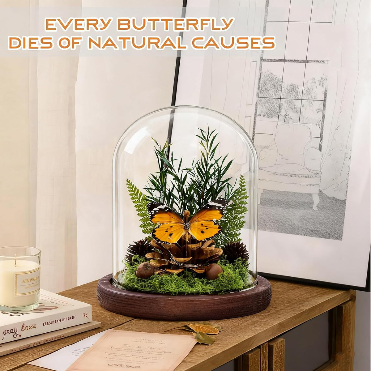 Glass Taxidermy Butterfly Shadow Box, Butterfly Gifts for Women Girls with Glass Cover, Light Up Butterfly Decor for Bedroom Office Living Room Desk (Not Include Battery)