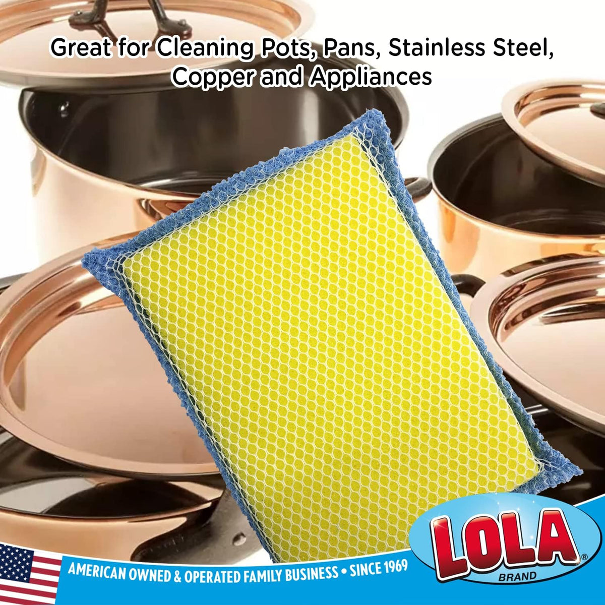 LOLA Microfiber Terry & Nylon Net Sponge Scrubber Pad, 6 Pack, Non Scratch 2-Way Cleaning, Gently Scrubs & Wipes Clean