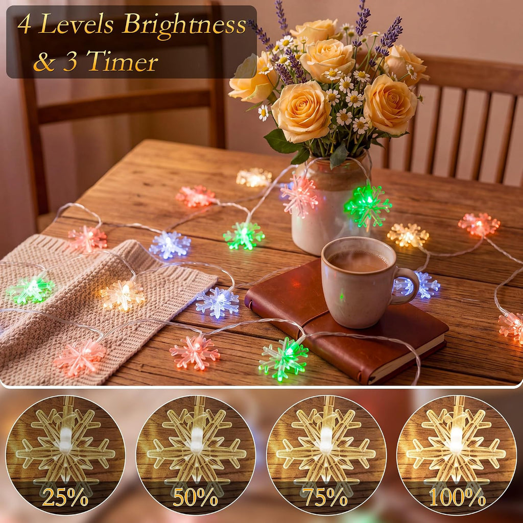 Christmas Snowflake String Lights USB 50FT 100 LED Warm White & Multicolor